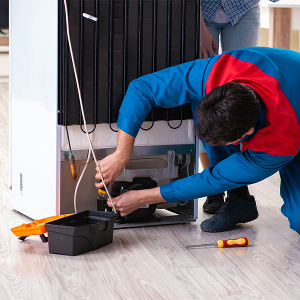 what are the common refrigerator repair services in New Castle CO